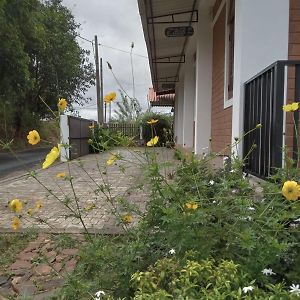 Windy Hanthana